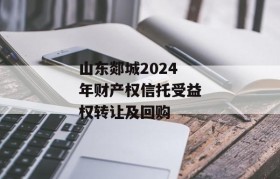 山东郯城2024年财产权信托受益权转让及回购