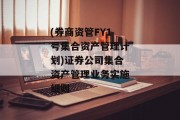 (券商资管FY1号集合资产管理计划)证券公司集合资产管理业务实施细则