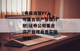 (券商资管FY1号集合资产管理计划)证券公司集合资产管理业务实施细则