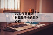 2023年青岛海科控股债权的简单介绍