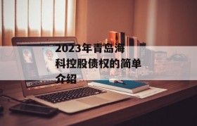 2023年青岛海科控股债权的简单介绍