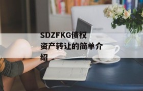 SDZFKG债权资产转让的简单介绍