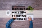 包含四川国兴实业2023年债权01-03政府城投债定融的词条