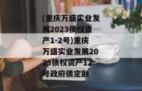 (重庆万盛实业发展2023债权资产1-2号)重庆万盛实业发展2023债权资产12号政府债定融