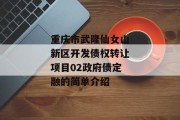 重庆市武隆仙女山新区开发债权转让项目02政府债定融的简单介绍