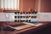 关于山东滨州菏泽置业债权资产政府债定融的信息