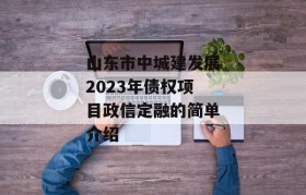 山东市中城建发展2023年债权项目政信定融的简单介绍