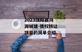 2023饶阳县鸿源城建-债权转让项目的简单介绍