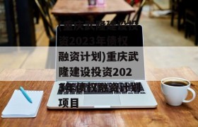 (重庆武隆建设投资2023年债权融资计划)重庆武隆建设投资2023年债权融资计划项目