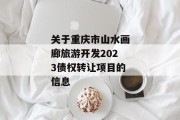 关于重庆市山水画廊旅游开发2023债权转让项目的信息