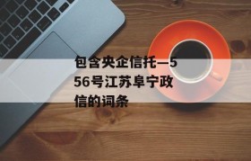 包含央企信托—556号江苏阜宁政信的词条