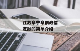 江苏阜宁阜创政信定融的简单介绍