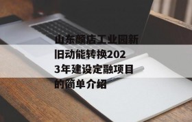 山东颜店工业园新旧动能转换2023年建设定融项目的简单介绍