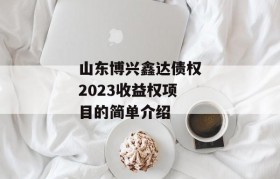 山东博兴鑫达债权2023收益权项目的简单介绍