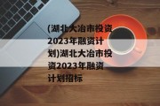 (湖北大冶市投资2023年融资计划)湖北大冶市投资2023年融资计划招标