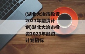 (湖北大冶市投资2023年融资计划)湖北大冶市投资2023年融资计划招标