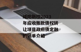 咸阳新控2023年应收账款债权转让项目政府债定融的简单介绍