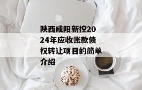 陕西咸阳新控2024年应收账款债权转让项目的简单介绍