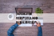 (KFDBJT债权资产)什么叫非标准化债权资产