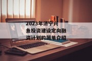 2023年济宁兴鱼投资建设定向融资计划的简单介绍