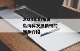 2023年山东青岛海科发展债权的简单介绍