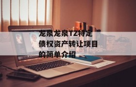 龙泉龙泉TZ特定债权资产转让项目的简单介绍