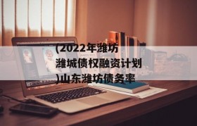 (2022年潍坊潍城债权融资计划)山东潍坊债务率