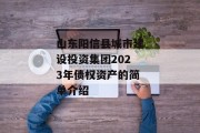 山东阳信县城市建设投资集团2023年债权资产的简单介绍