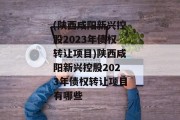 (陕西咸阳新兴控股2023年债权转让项目)陕西咸阳新兴控股2023年债权转让项目有哪些