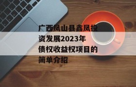 广西凤山县鑫凤投资发展2023年债权收益权项目的简单介绍