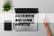 四川成都简阳融城2023年债权拍卖09-16项目的简单介绍