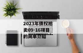 四川成都简阳融城2023年债权拍卖09-16项目的简单介绍