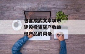 包含成武文亭城市建设投资资产收益权产品的词条