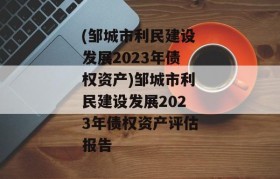 (邹城市利民建设发展2023年债权资产)邹城市利民建设发展2023年债权资产评估报告