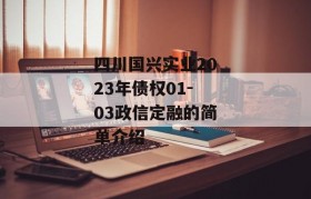 四川国兴实业2023年债权01-03政信定融的简单介绍