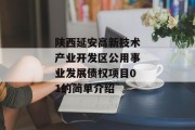 陕西延安高新技术产业开发区公用事业发展债权项目01的简单介绍