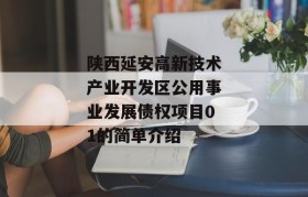 陕西延安高新技术产业开发区公用事业发展债权项目01的简单介绍