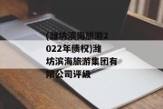 (潍坊滨海旅游2022年债权)潍坊滨海旅游集团有限公司评级