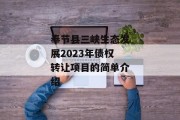 奉节县三峡生态发展2023年债权转让项目的简单介绍