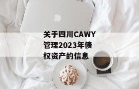 关于四川CAWY管理2023年债权资产的信息