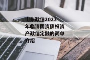 山东政信2023年临清国资债权资产政信定融的简单介绍