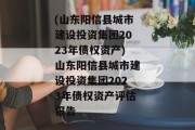 (山东阳信县城市建设投资集团2023年债权资产)山东阳信县城市建设投资集团2023年债权资产评估报告