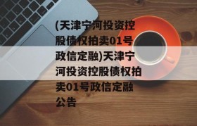 (天津宁河投资控股债权拍卖01号政信定融)天津宁河投资控股债权拍卖01号政信定融公告