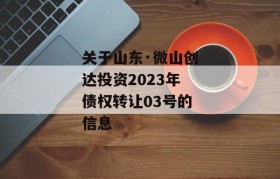 关于山东·微山创达投资2023年债权转让03号的信息