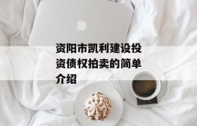 资阳市凯利建设投资债权拍卖的简单介绍