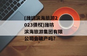 (潍坊滨海旅游2023债权)潍坊滨海旅游集团有限公司会破产吗?