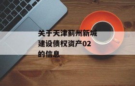 关于天津蓟州新城建设债权资产02的信息