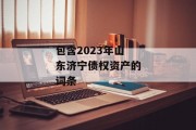 包含2023年山东济宁债权资产的词条