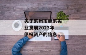 关于滨州市惠滨实业发展2023年债权资产的信息