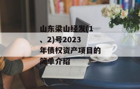 山东梁山经发(1、2)号2023年债权资产项目的简单介绍